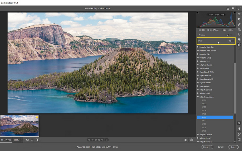 Photoshop Camera Raw