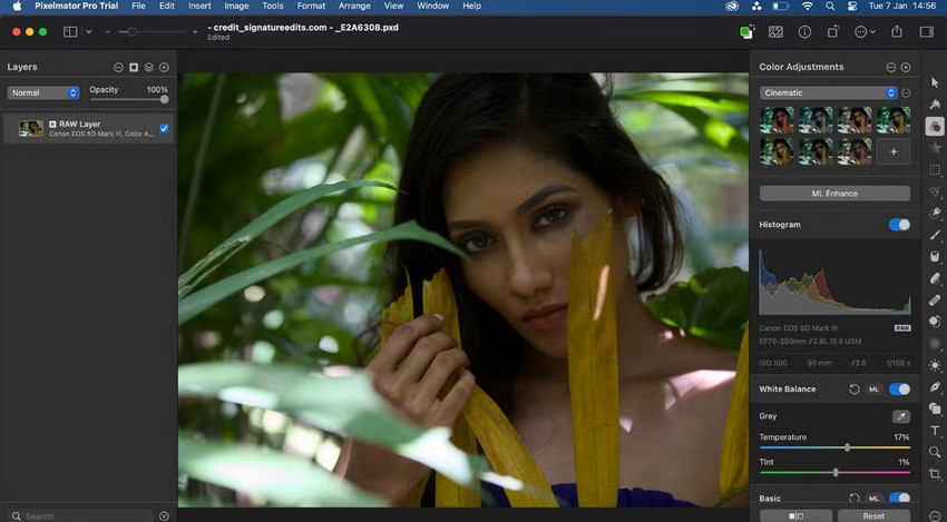 Pixelmator RAW Layer Editing