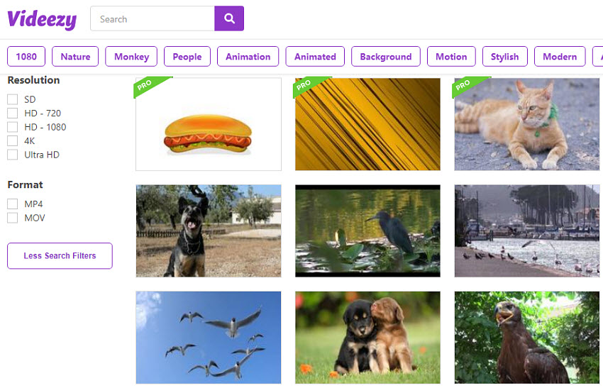 Best free stock video websites -Videezy