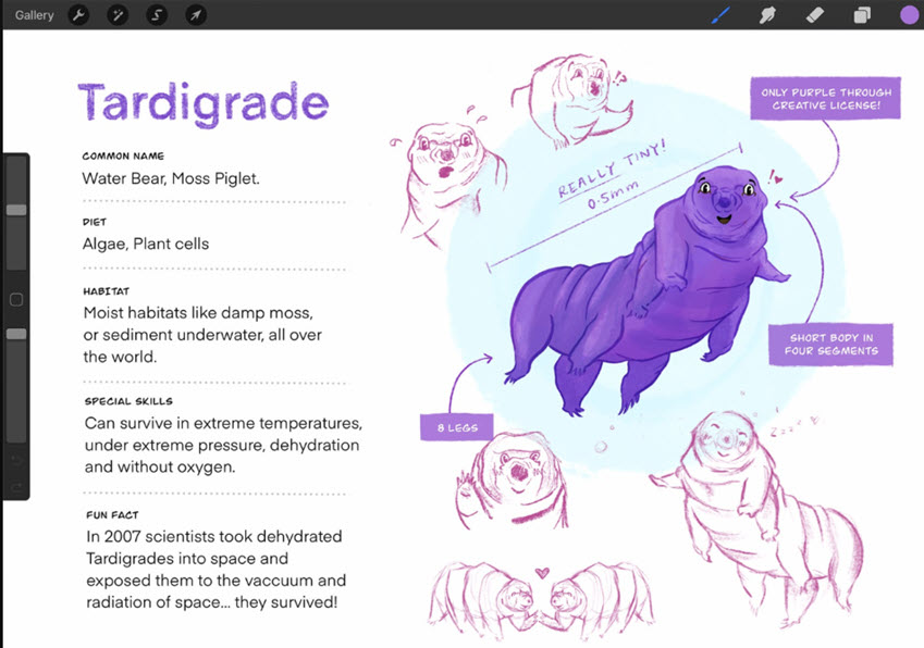 Procreate Character Design Showcase