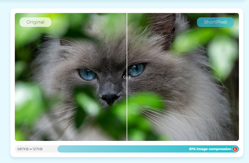 Free TinyPNG Alternatives - ShortPixel