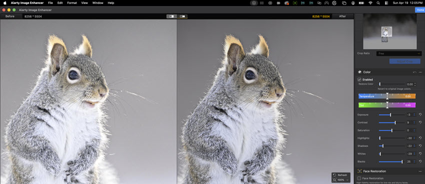 Adjust Wildlife Photo Colors Aiarty