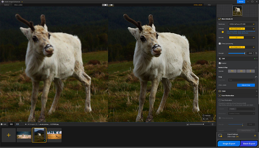 Enhance a cropped wildlife photo with Aiarty Image Enhancer