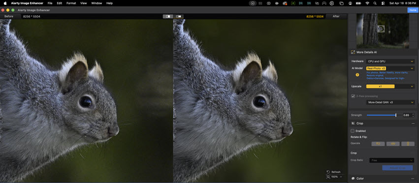 Aiarty Enhance Grey Squirrel Photos