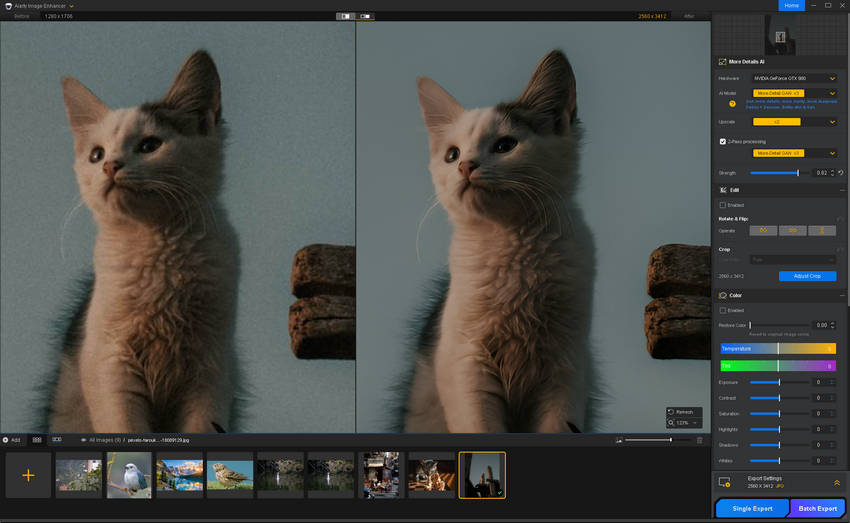 Enhancing animal photos with Aiarty Image Enhancer