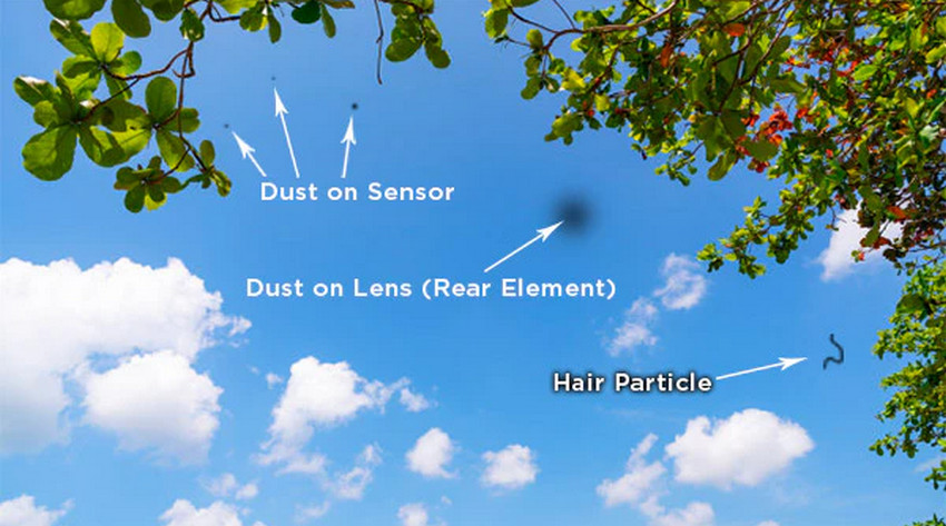 How to tell if your camera sensor needs cleaning