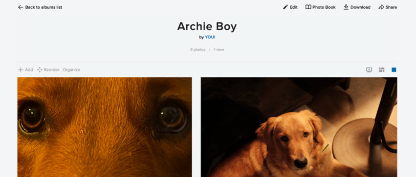 Flickr Photo Gallery
