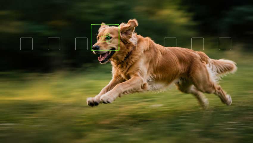 Use continuous autofocus for moving subjects