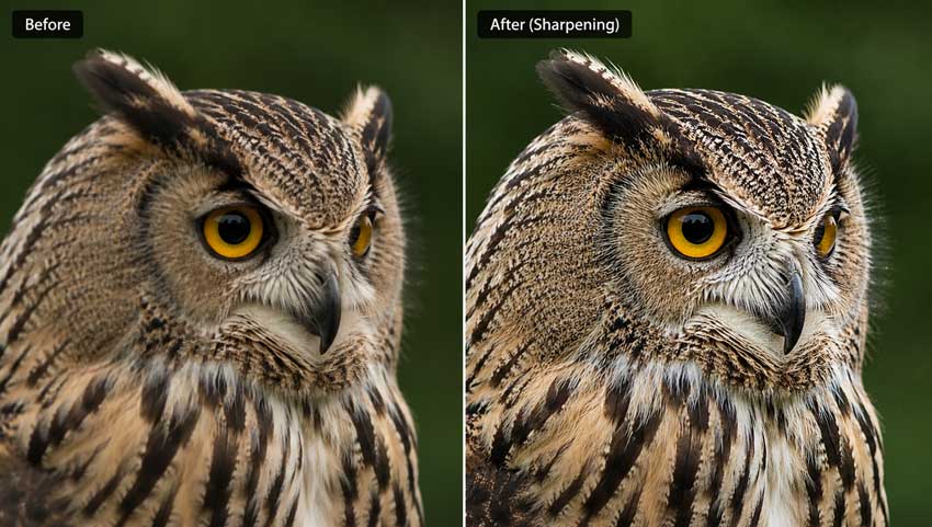 Apply selective sharpening in Lightroom