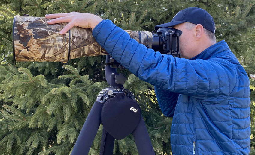 Long Lens Technique Wildlife Photo Sharpness