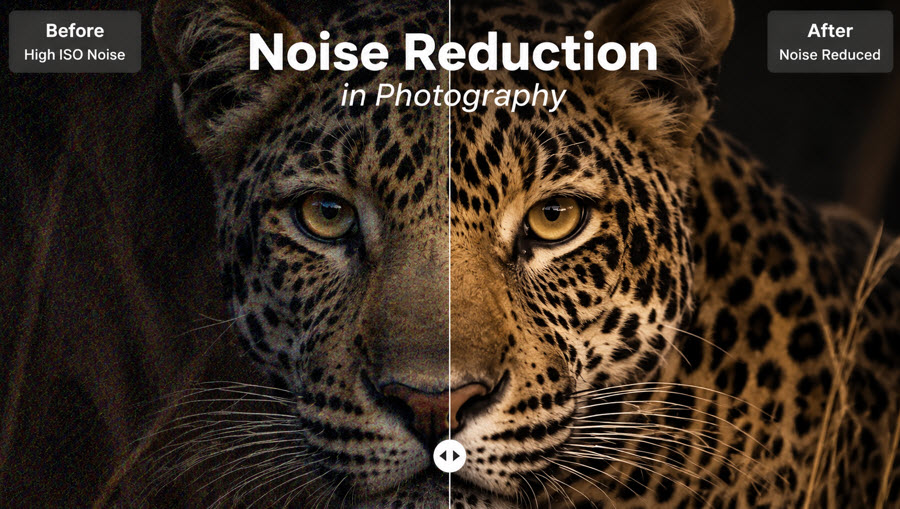 what is noise in photography