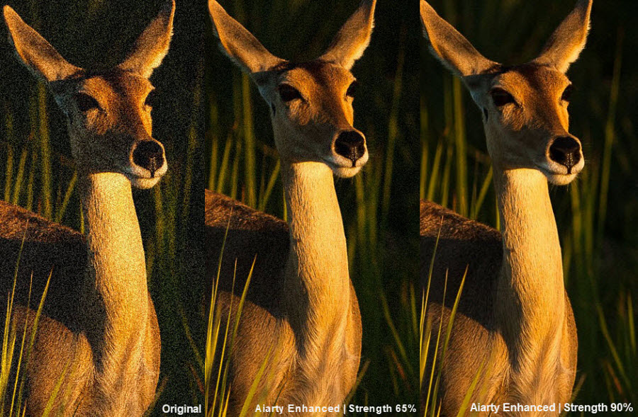 control noise reduction photography 