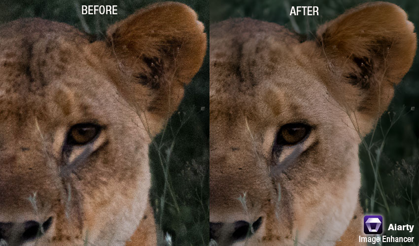 original vs enhanced quality using Aiarty Image Enhancer