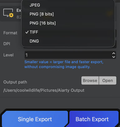 Wide Format Support Export Aiarty
