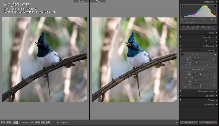 Raw editing