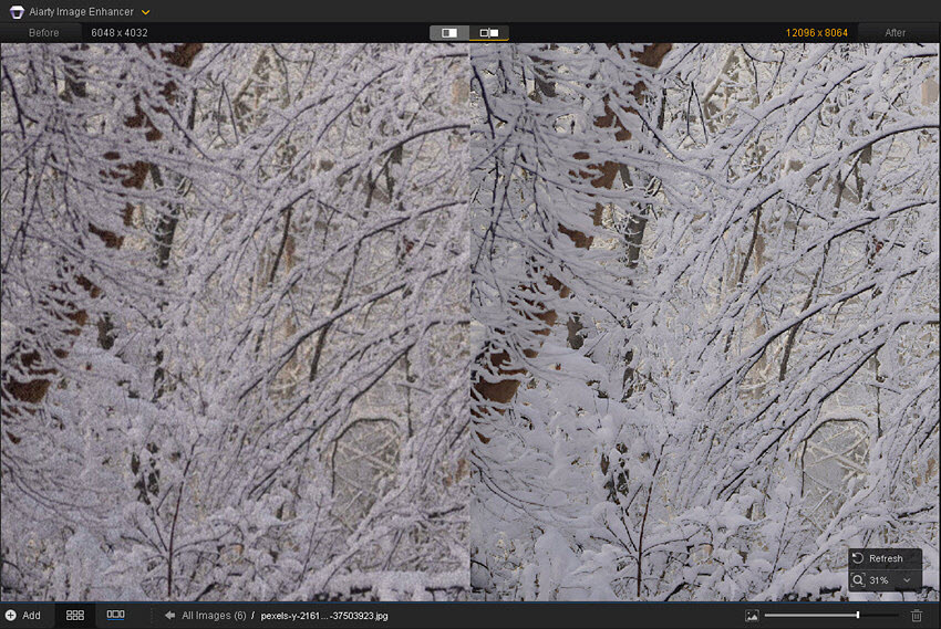 winter photo ideas