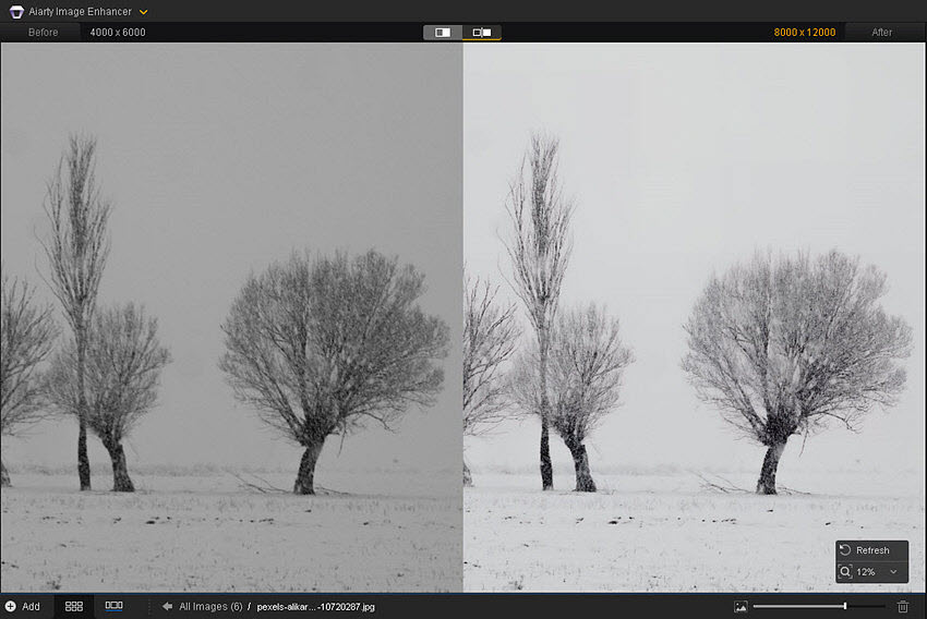 winter photo ideas