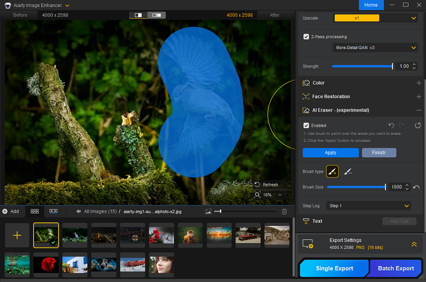 Aiarty Image Enhancer AI Eraser