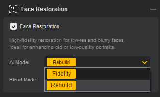 Aiarty Image Enhancer 人脸修复模型