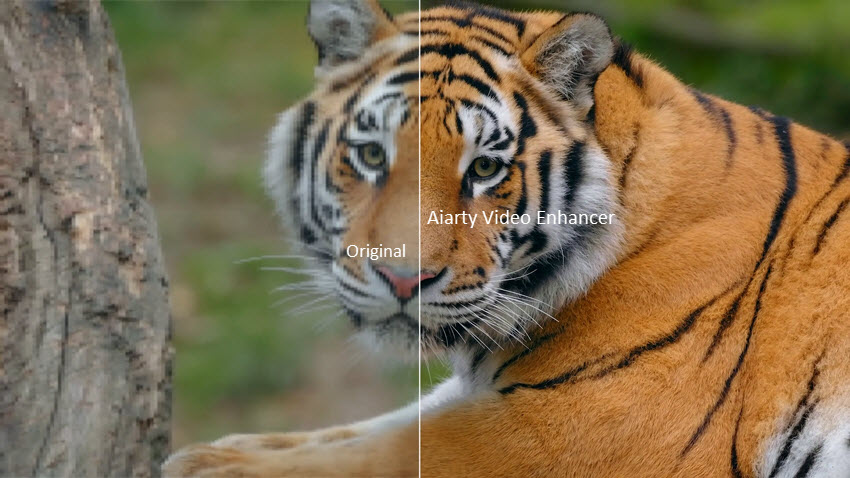Aiarty Video Enhancer Guide