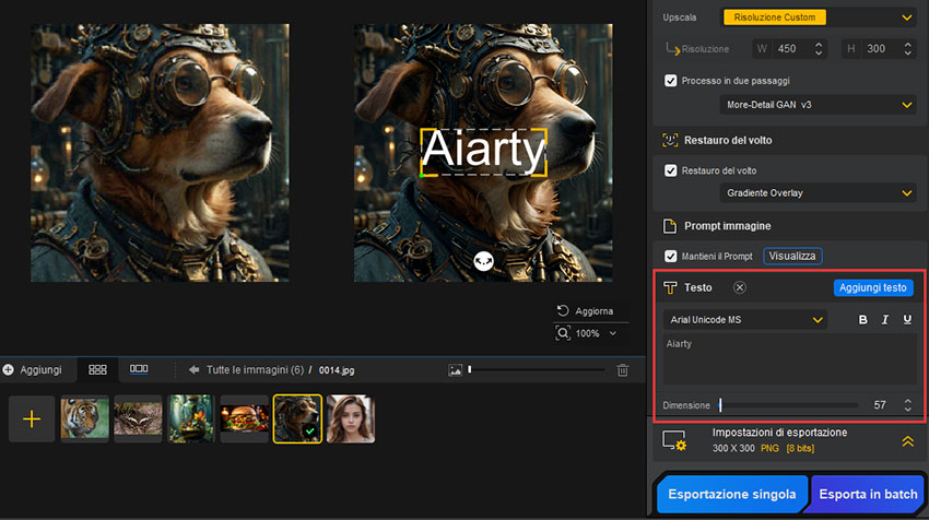 Aiarty Image Enhancer Aggiungi Testo
