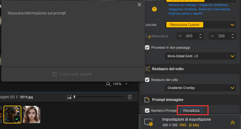 Aiarty Image Enhancer No Prompt Information
