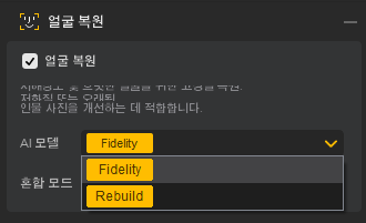 Aiarty Image Enhancer 얼굴 복원 모델