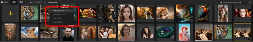 Aiarty Image Enhancer Image List Panel