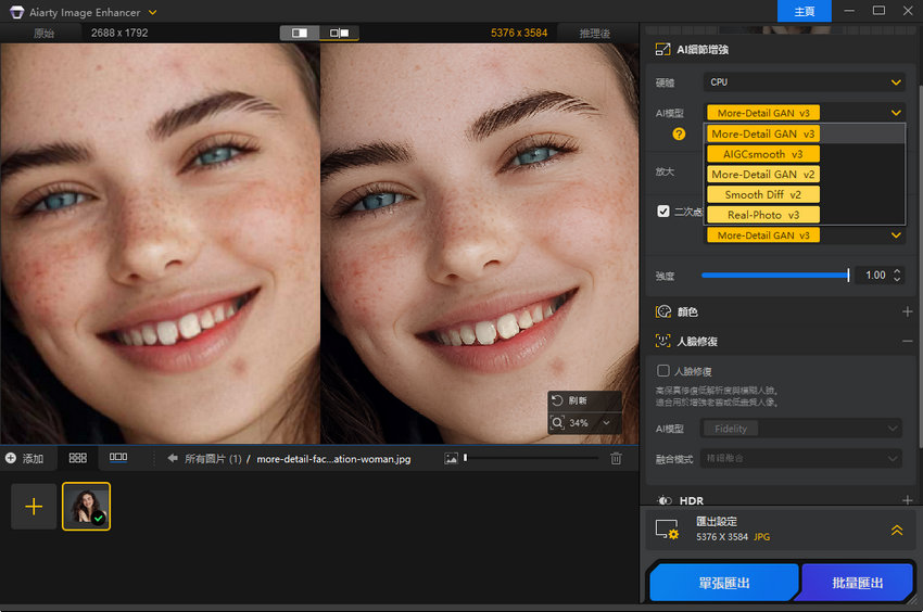 Aiarty Image Enhancer AI模型選擇
