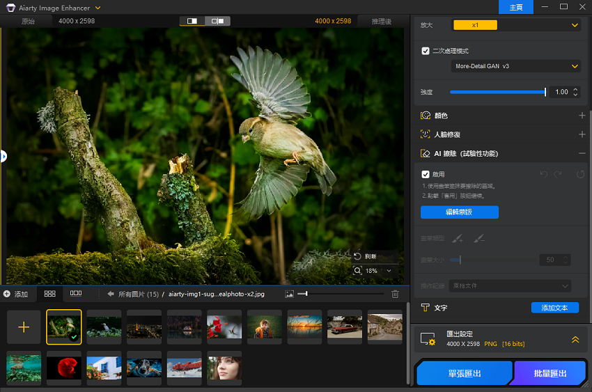 Aiarty Image Enhancer AI 擦除