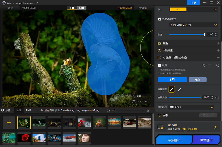 Aiarty Image Enhancer AI 擦除